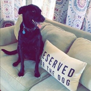 Meet your Posher, Noah